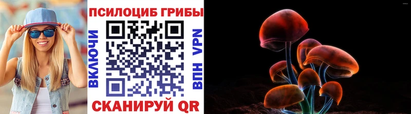 где можно купить наркотик  ссылка на мегу зеркало  Псилоцибиновые грибы Cubensis  Чишмы 